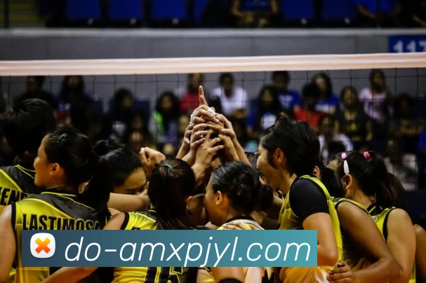 澳门新葡京娱乐APP 封面图